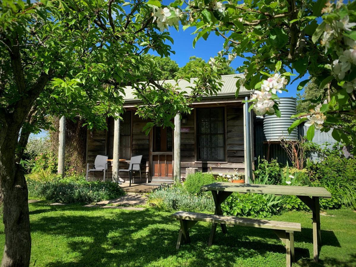 Cherry Plum Cottages Port Fairy Exteriör bild