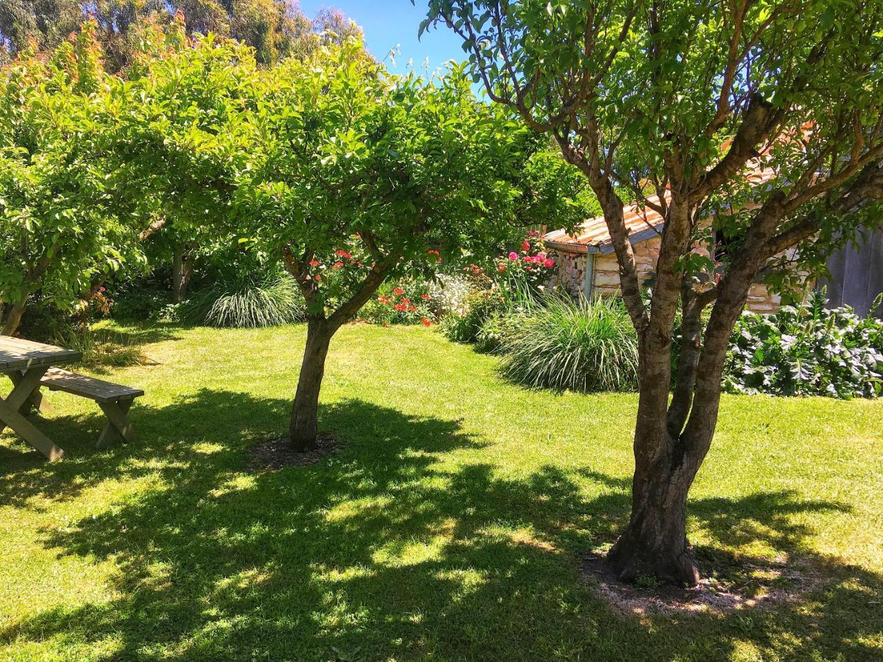 Cherry Plum Cottages Port Fairy Exteriör bild