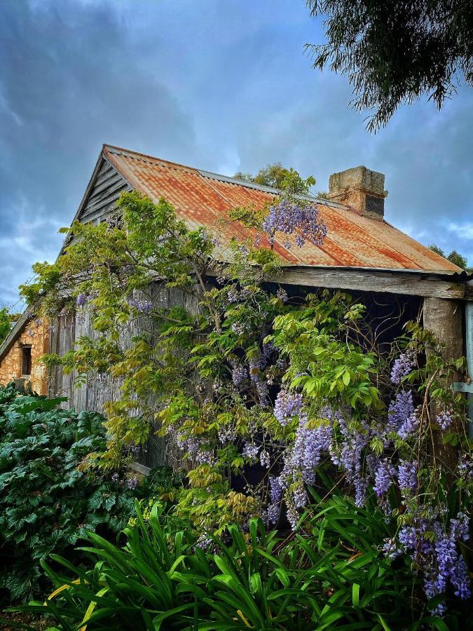 Cherry Plum Cottages Port Fairy Exteriör bild